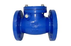 Van Một Chiều Lá Lật DN50 Chính Hãng, Bền Bỉ Cho Hệ Thống Nước